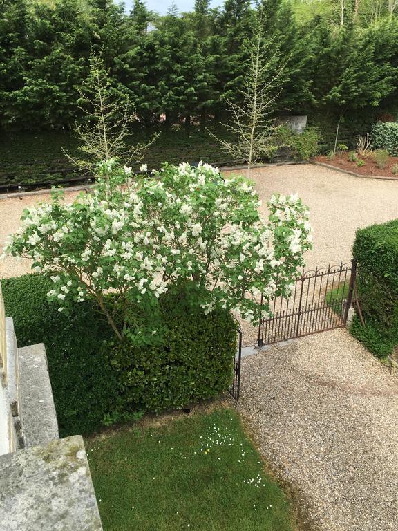 Manoir Le Mesnil Panzió Saint-Martin-aux-Chartrains Kültér fotó