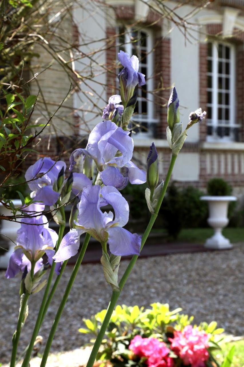 Manoir Le Mesnil Panzió Saint-Martin-aux-Chartrains Kültér fotó